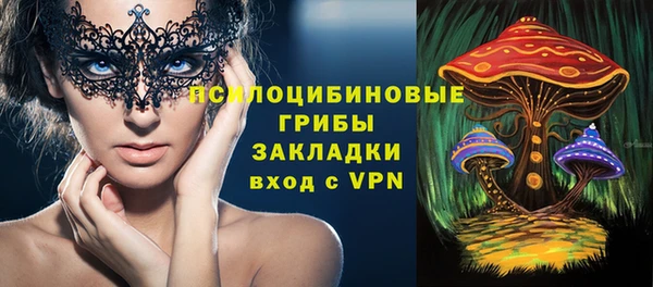 первитин Каменка