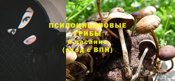 первитин Каменка