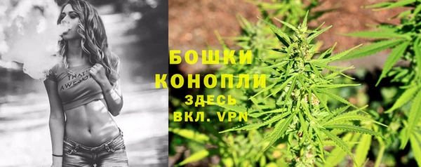 первитин Каменка