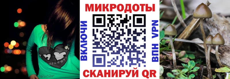 Галлюциногенные грибы мицелий  Купить где  Пролетарск 